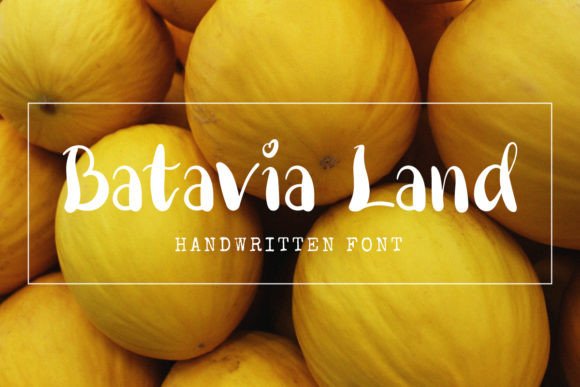 Batavia Land: A Designer's Real-World Review