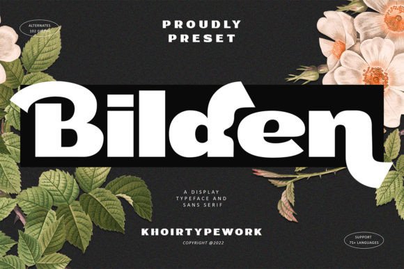 Bilden: The Bold Display Font for Marketers